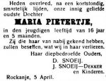Snoeij Maria Pietertje-NBC-07-04-1920  (dochter 251).jpg